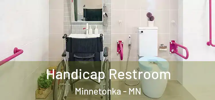 Handicap Restroom Minnetonka - MN