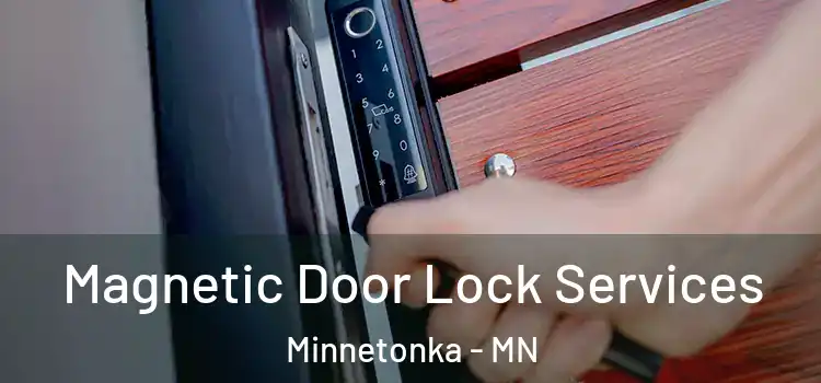 Magnetic Door Lock Services Minnetonka - MN